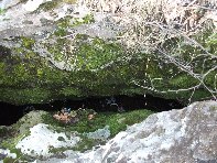 Grotta del Coniglio
